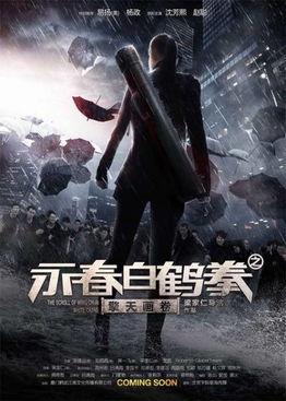 永春白鹤拳之擎天画卷,擎天画卷中的武术传奇  第2张