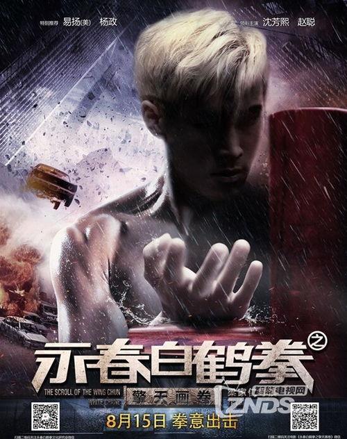 永春白鹤拳之擎天画卷,擎天画卷中的武术传奇  第3张