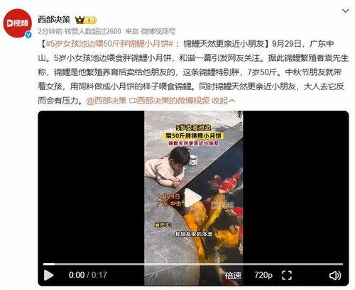 喂，搵边位？  第3张