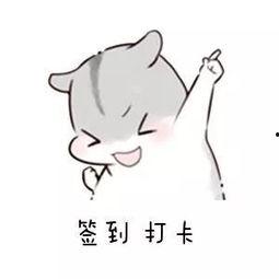 闲着干嘛呢?,闲着干嘛呢?探索闲置时光的无限可能 第2张 闲着干嘛呢?,闲着干嘛呢?探索闲置时光的无限可能 第2张