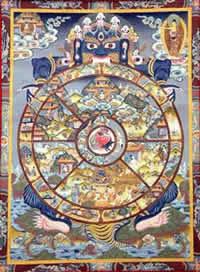 生命之轮  第3张