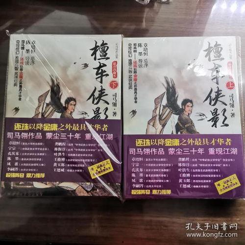 御车侠影,驰骋江湖的传奇车手传奇  第3张