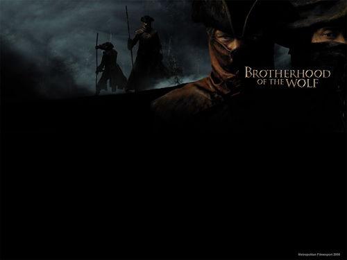 狼族盟约,探寻狼群间的神秘契约与生存智慧  第3张