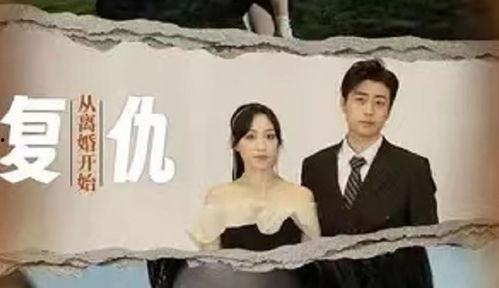 复仇从离婚开始  第2张