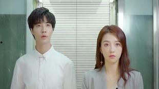 从邂逅女总裁开始,一段跨越职场的浪漫传奇  第3张