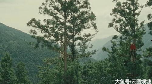 哪啊哪啊神去村  第3张